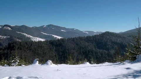 Coniferous forest in the winter mountains Stock-Footage 119225326
