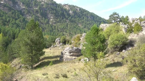 Coniferous Forests and Rocky Formations - 989 Stock Footage 308818310