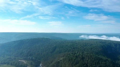 Coniferous forests in the endless mountains. 스톡 동영상 114872734