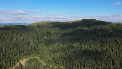 Coniferous forests in the mountains Stock Footage 171596677