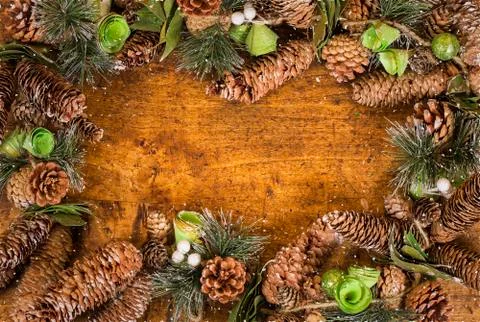 Coniferous frame. Stock Photos