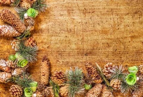 Coniferous frame. Stock Photos