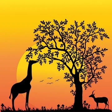 Coniferous natural forest trees set silhouette. Background of nature wood Stock Illustration