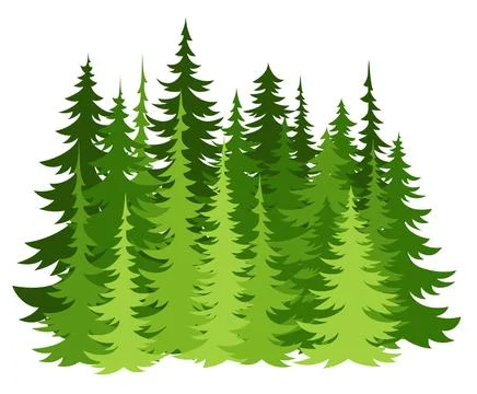 Coniferous spruce horizontal background. Forest trees panorama イラスト素材