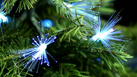 Coniferous Tree with Blue Fiber Stockbeeldmateriaal 47137977
