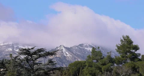 Coniferous Trees against the Background of Mountains and Clouds Stock Footage 172254760