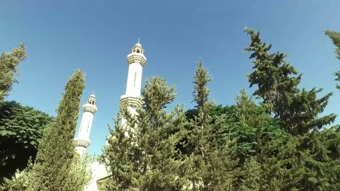 Coniferous trees near the mosque. Stock Footage 78989933