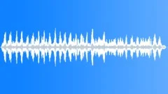 Coniferous Woodland Atmosphere Busy Sound Effect