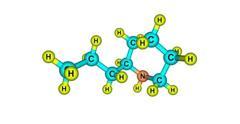 Coniine molecular structure isolated on white Stock Illustration