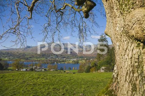 Coniston water, lake district Stock Photos