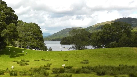 Coniston Water Meadow Stock-Footage 89752066