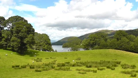 Coniston Water Meadow Stock Footage 89887628