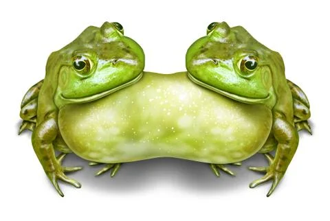 Conjoined Twins Stock Illustration