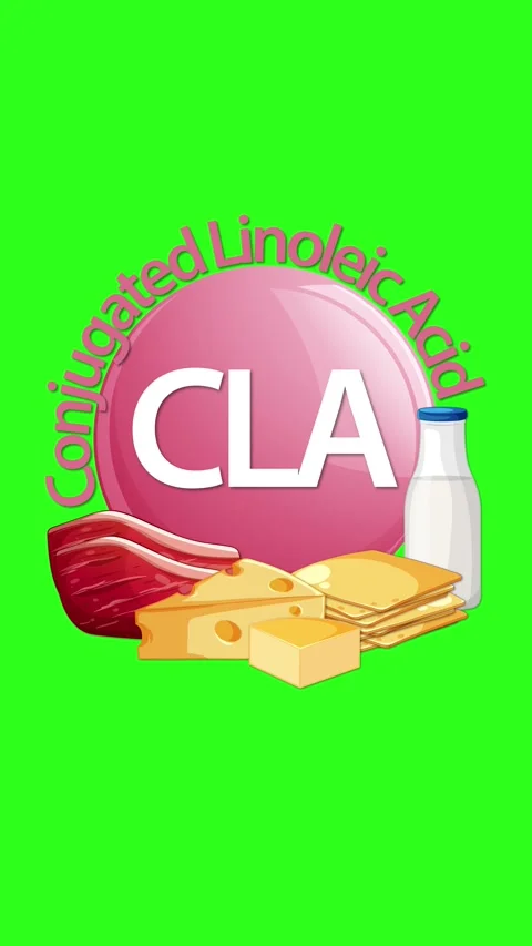 Conjugated Linoleic Acid Sources Animation on Green Screen Stock Footage 316730548