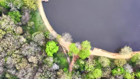 Connaught Water Epping Forest Aerial 6K Birds Eye 스톡 동영상 332814729