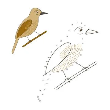 Connect the dots game bird vector illustration Stock Illustration