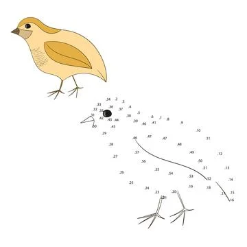 Connect the dots game quail vector illustration Stock Illustration