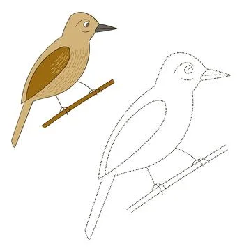 Connect the dots game xenops bird vector Stock Illustration