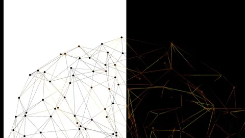 Connect poly line on white background Stock Footage 89515189