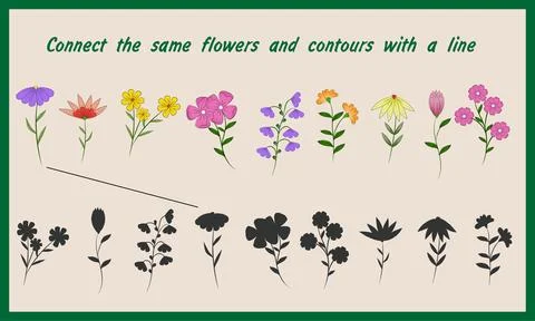 Connect the same flowers and contours with a line Stock Illustration