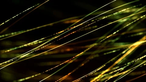 Connected 43 Looping Animation Stock Footage 73370629