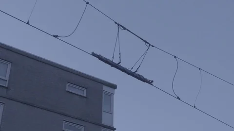 Connected cables against the sky at dusk Stock Footage 73703376