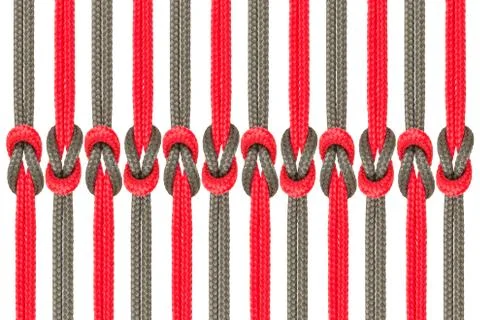 Connected concept , Different ropes tied  isolate on white with clipping path Stock-Fotos