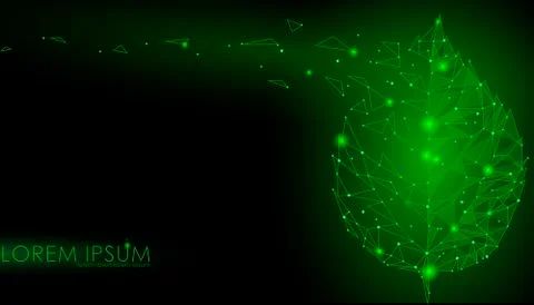 Connected dots point line triangle leaf. Eco nature concept on dark green Stock Illustration