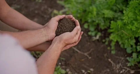 Connected to the earth, hands connected with soil in hand Stock Footage 218488157