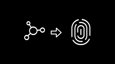 Connected Network Identification Stock Footage 334289221