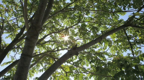 Connecticut Beach1 Stock Footage 561554
