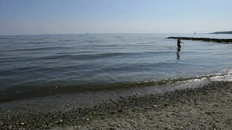 Connecticut Beach4 Stock Footage 561880
