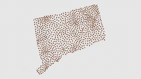Connecticut Coffee Beans Stock Footage 147418754