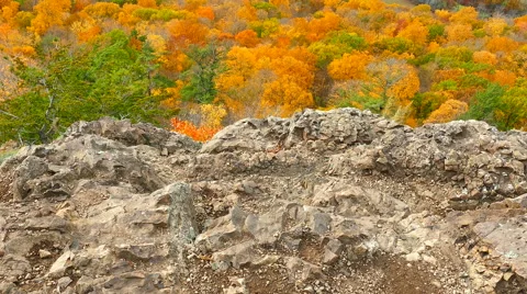 Connecticut Fall Foliage Vídeos de archivo 56510142