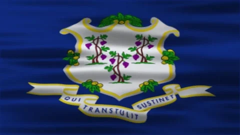 Connecticut flag animation Stock Footage 312485154