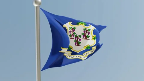 Connecticut flag on flagpole. CT flag fluttering in the wind. USA. Stock Footage 170195270