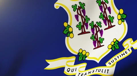 Connecticut flag waving in the wind. Looping sun rises style.  Animation loop Vídeos de archivo 48160159