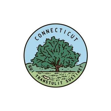 Connecticut Old Oak Stock Illustration