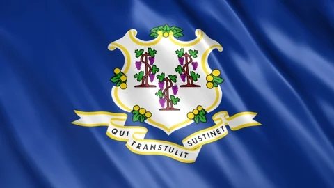 Connecticut State Flag 库存影片 123963354