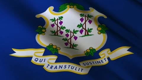 Connecticut State Flag Stock Footage 276104859