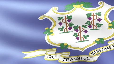 Connecticut State Flag Waving Video stock 148075883