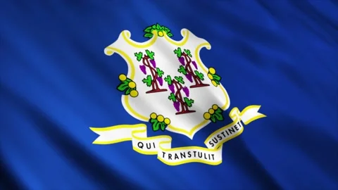 Connecticut State Flag waving in the wind Stock Footage 236430810