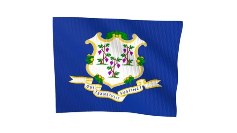 Connecticut state flag waving in the wind Vídeos de archivo 343902038