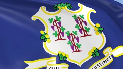 Connecticut State Waving Flag Background Loop Stock Footage 317846034