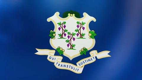Connecticut Waving flag up Stock Footage 297330749