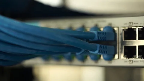 Connecting Cable And The LED Lights Blinks. The Internet Server And Server of Video stock 73052024