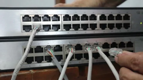 Connecting an internet network cable to a switch Stockbeeldmateriaal 333871180