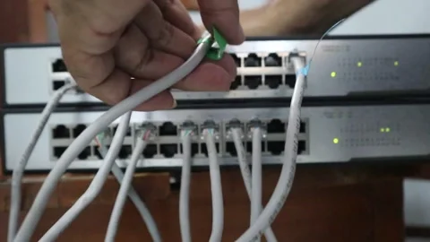 Connecting an internet network cable to a switch Stockbeeldmateriaal 333871183
