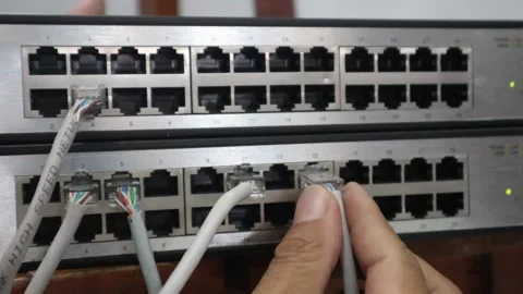 Connecting a network cable to a switch Video stock 333819877