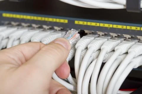 Connecting network cable into switch Stock Photos